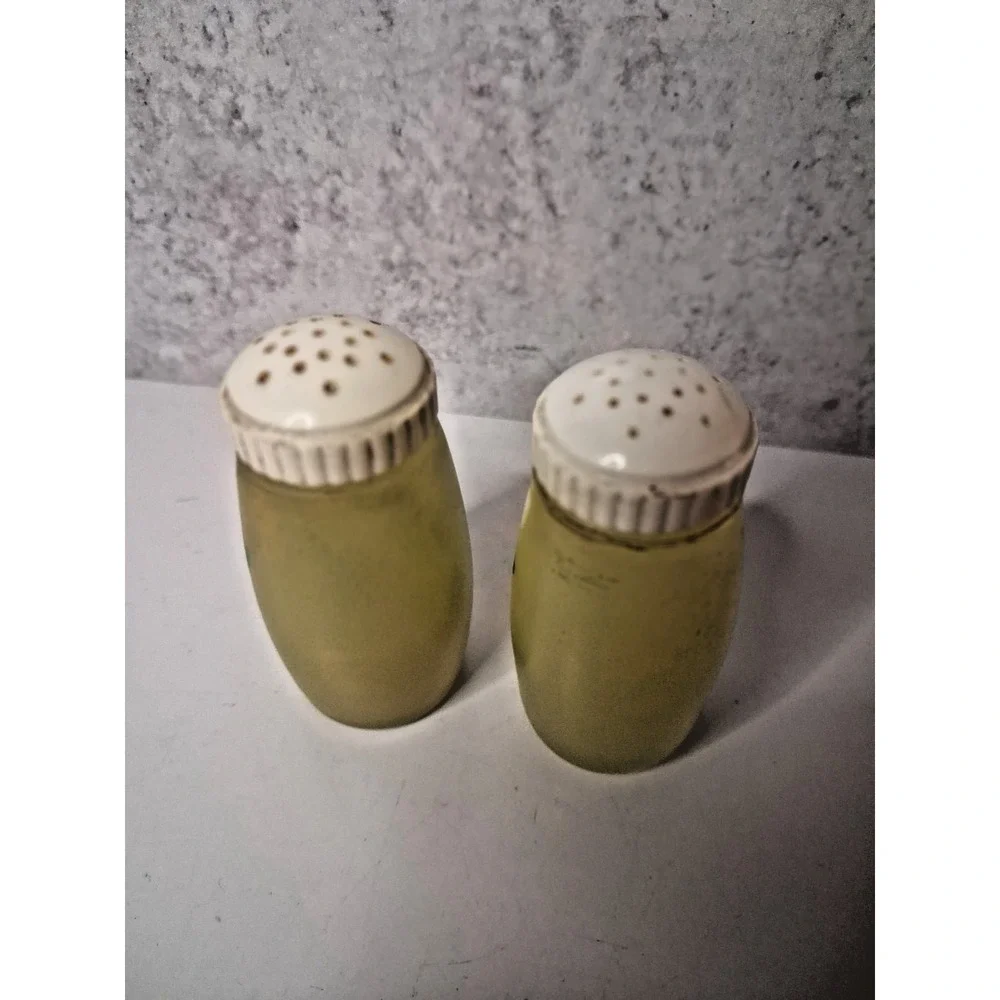 Glass Salt and Pepper Shakers,Bartlett Collins, Hand-Painted FloralDesign